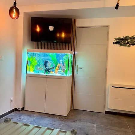 Aquarium Apartman Rouvroy (Pas-de-Calais)