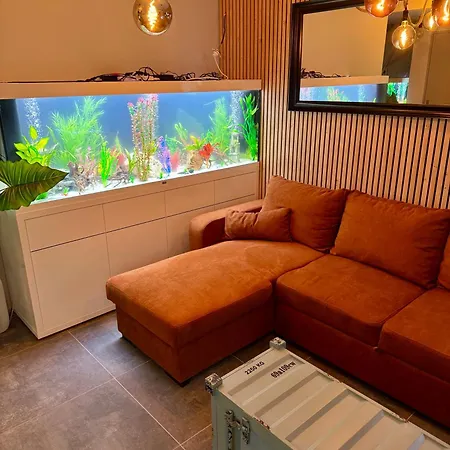 Apartman Aquarium Rouvroy (Pas-de-Calais)